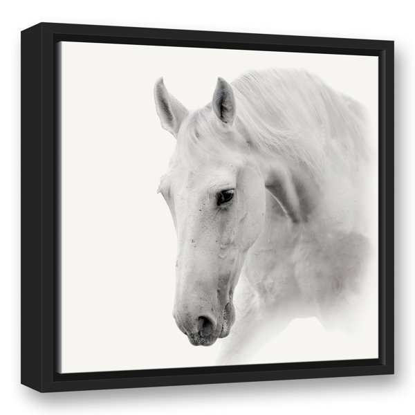 Union Rustic White Horse Framed On Canvas Print Wayfair